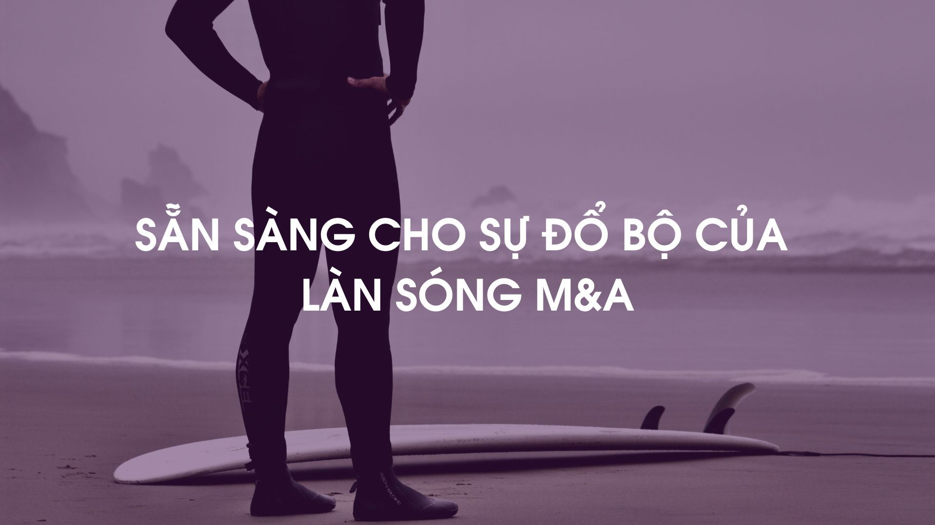 Metta Blog Banner